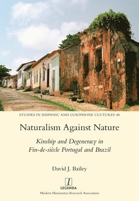 David J Bailey - Naturalism Against Nature, Häftad