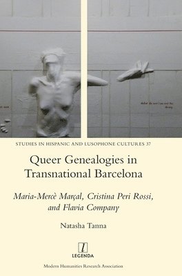 bokomslag Queer Genealogies in Transnational Barcelona