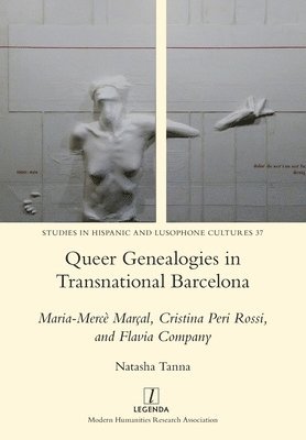 bokomslag Queer Genealogies in Transnational Barcelona