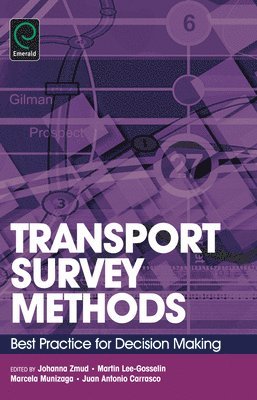 bokomslag Transport Survey Methods