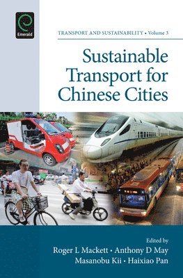 bokomslag Sustainable Transport for Chinese Cities