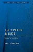 bokomslag 1 & 2 Peter & Jude: Christians Living in an Age of Suffering