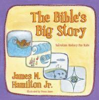 bokomslag The Bibles Big Story