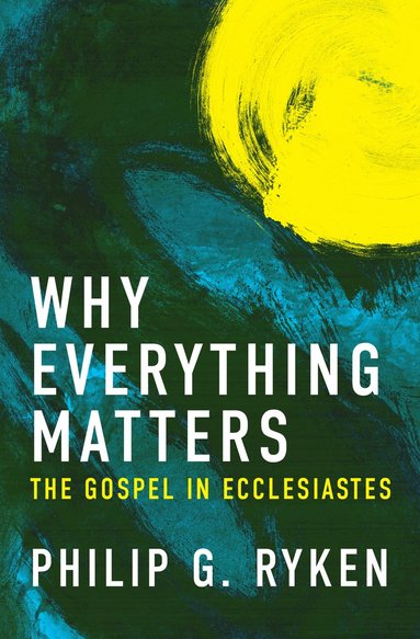 bokomslag Why Everything Matters