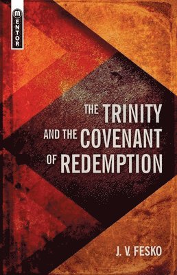 bokomslag The Trinity And the Covenant of Redemption