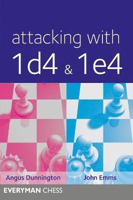 Attacking with 1d4 & 1e4 1