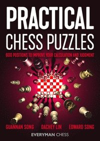 bokomslag Practical Chess Puzzles