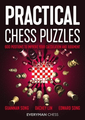 bokomslag Practical Chess Puzzles