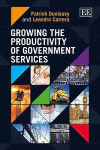 bokomslag Growing the Productivity of Government Services