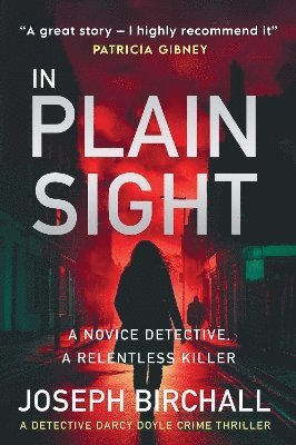 Joseph Birchall - In Plain Sight, Häftad