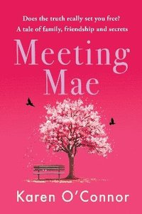 bokomslag Meeting Mae