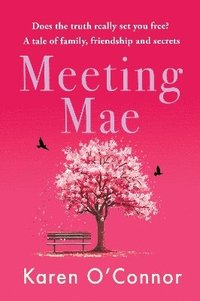 bokomslag Meeting Mae