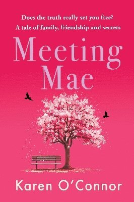 Meeting Mae 1