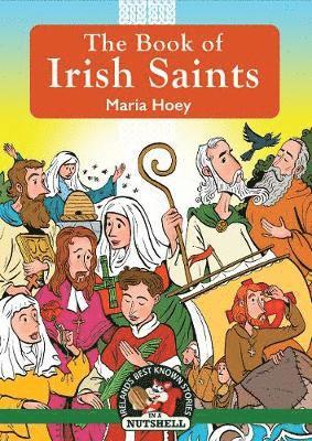 bokomslag Book of Irish Saints