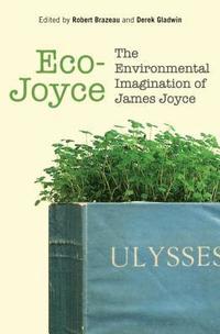 bokomslag Eco-Joyce