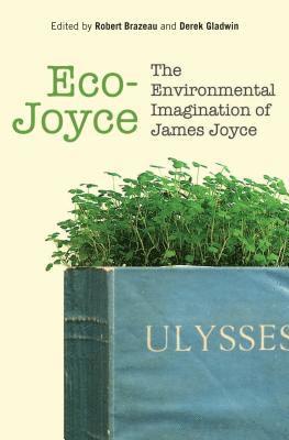 Eco-Joyce 1