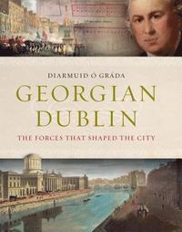 bokomslag Georgian Dublin