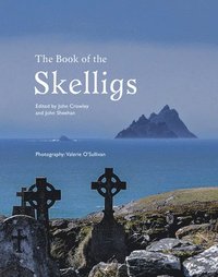 bokomslag The Book of the Skelligs