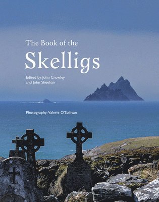 The Book of the Skelligs 1