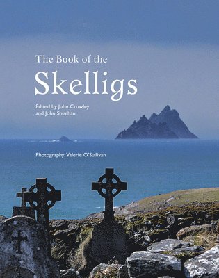 Book of the Skelligs 1