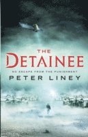 The Detainee 1