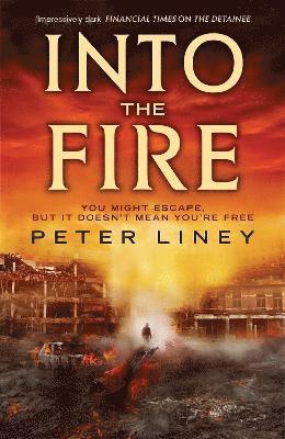 Peter Liney - Into The Fire, Häftad