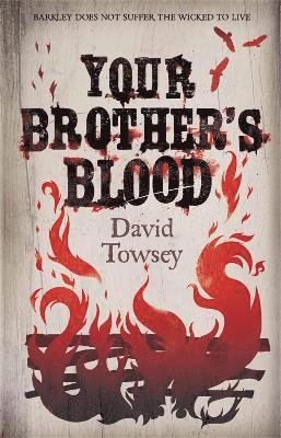 David Towsey - Your Brother's Blood, Häftad