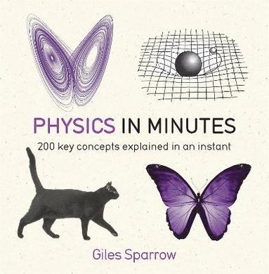 bokomslag Physics in Minutes