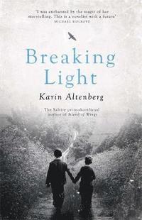 bokomslag Breaking Light