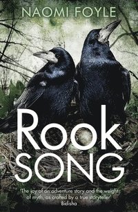 bokomslag Rook Song