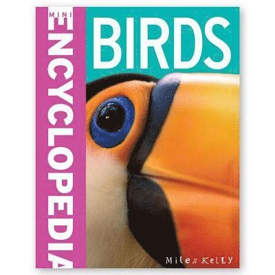 Miles Kelly - Mini Encyclopedia - Birds, Häftad