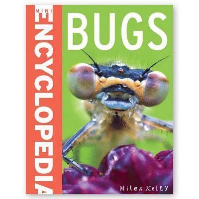 Belinda Gallagher - Mini Encyclopedia - Bugs, Häftad