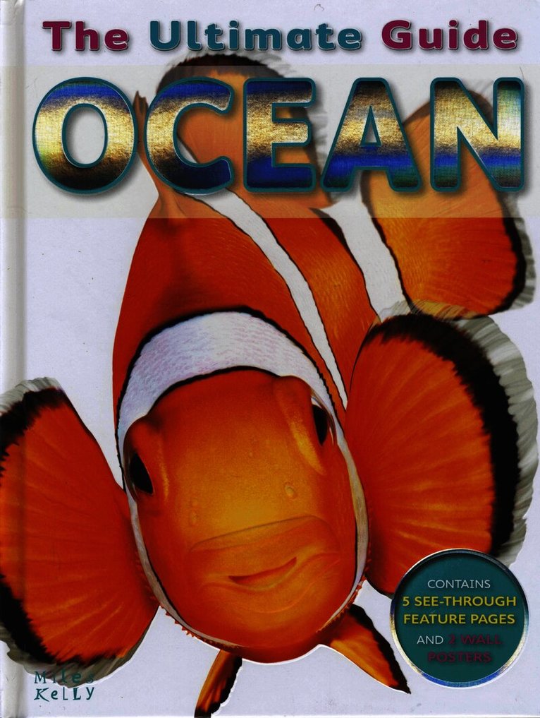 Ocean