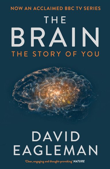 David Eagleman - Brain, Häftad