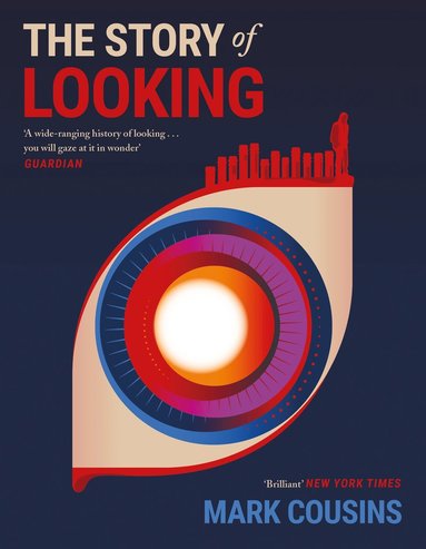 bokomslag Story of Looking