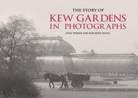 bokomslag The Story of Kew Gardens