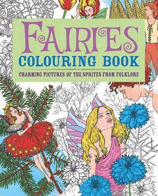 Fairies Colouring Book 1