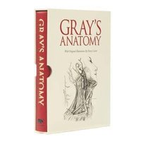 bokomslag Grays Anatomy