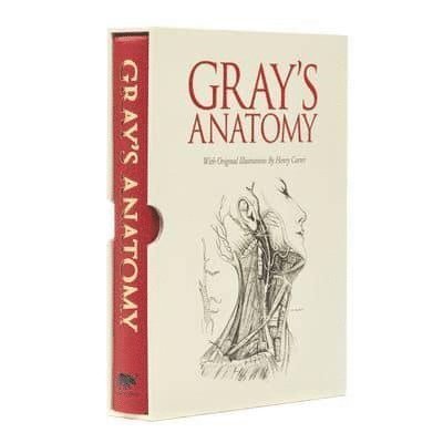 Grays Anatomy 1