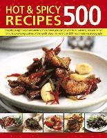 bokomslag 500 Hot & Spicy Recipes