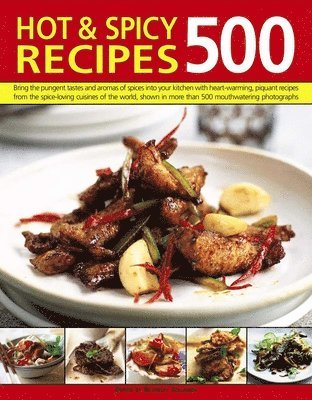 bokomslag 500 Hot & Spicy Recipes