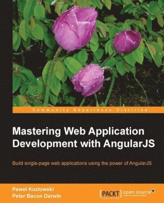 bokomslag Mastering Web Application Development with AngularJS