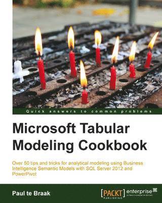 bokomslag SQL Server and Power Pivot - Tabular Modeling Cookbook