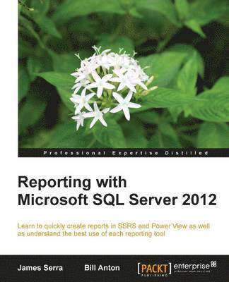 Reporting with Microsoft SQL Server 2012 1