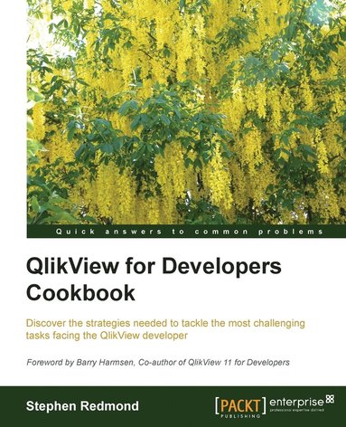 bokomslag QlikView for Developers Cookbook