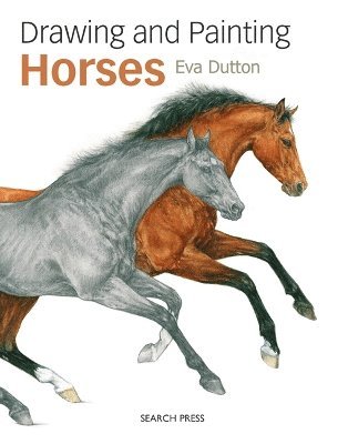 Eva Dutton - Drawing and Painting Horses, Häftad