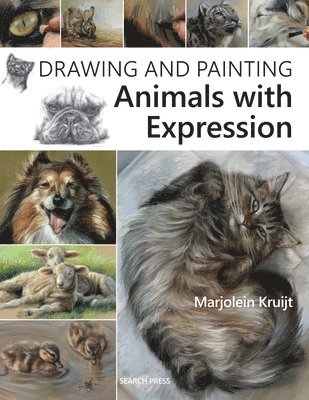 bokomslag Drawing and Painting Animals with Expression