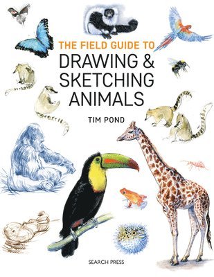 bokomslag The Field Guide to Drawing & Sketching Animals