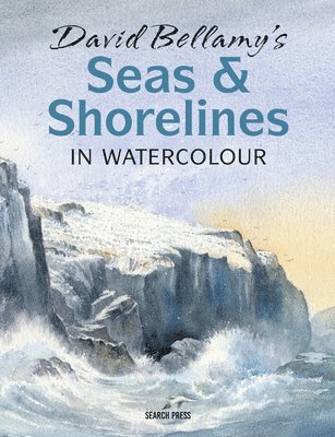 David Bellamys Seas & Shorelines in Watercolour 1