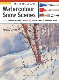 bokomslag Take Three Colours: Watercolour Snow Scenes